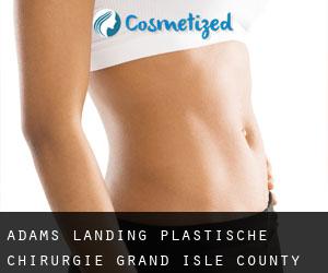 Adams Landing plastische chirurgie (Grand Isle County, Vermont) - Seite 2