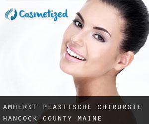 Amherst plastische chirurgie (Hancock County, Maine)