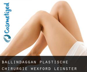 Ballindaggan plastische chirurgie (Wexford, Leinster)