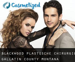Blackwood plastische chirurgie (Gallatin County, Montana)