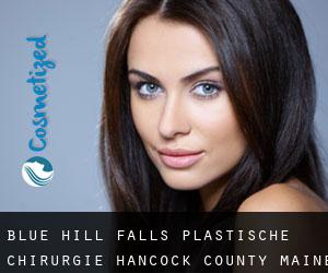 Blue Hill Falls plastische chirurgie (Hancock County, Maine)