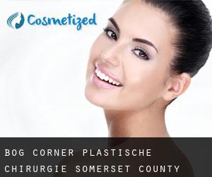 Bog Corner plastische chirurgie (Somerset County, Maine)