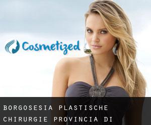 Borgosesia plastische chirurgie (Provincia di Vercelli, Piemont)