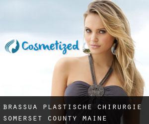 Brassua plastische chirurgie (Somerset County, Maine)
