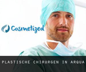 Plastische Chirurgen in Arqua