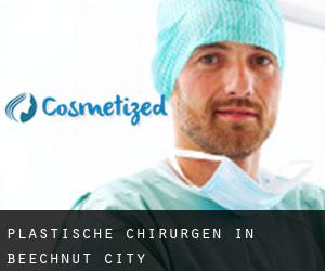 Plastische Chirurgen in Beechnut City