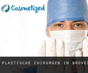 Plastische Chirurgen in Brovès