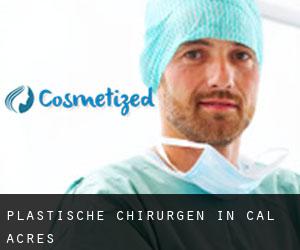 Plastische Chirurgen in Cal Acres