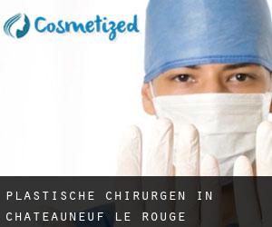 Plastische Chirurgen in Châteauneuf-le-Rouge
