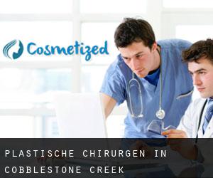 Plastische Chirurgen in Cobblestone Creek