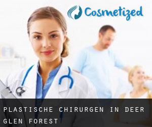 Plastische Chirurgen in Deer Glen Forest