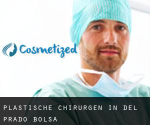Plastische Chirurgen in Del Prado Bolsa