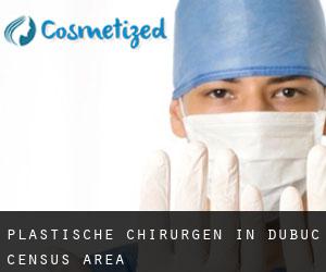 Plastische Chirurgen in Dubuc (census area)
