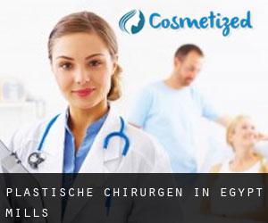 Plastische Chirurgen in Egypt Mills