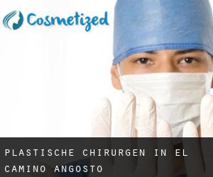 Plastische Chirurgen in El Camino Angosto