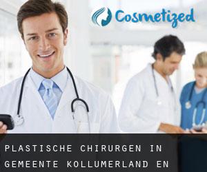 Plastische Chirurgen in Gemeente Kollumerland en Nieuwkruisland