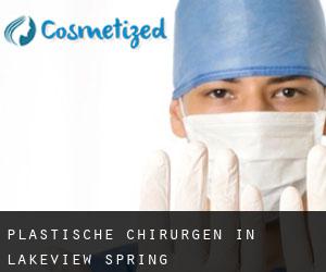 Plastische Chirurgen in Lakeview Spring