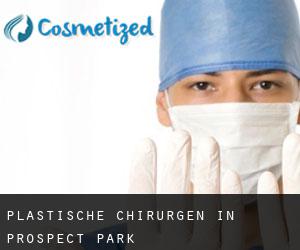 Plastische Chirurgen in Prospect Park