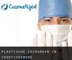 Plastische Chirurgen in Toortisnamore