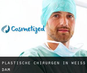 Plastische Chirurgen in Weiss Dam