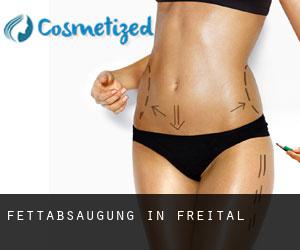 Fettabsaugung in Freital