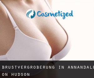 Brustvergrößerung in Annandale-on-Hudson