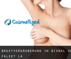 Brustvergrößerung in Bisbal de Falset (La)