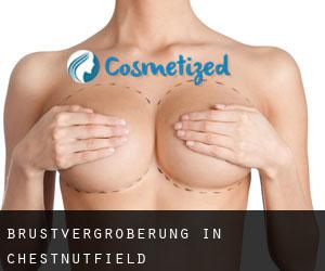 Brustvergrößerung in Chestnutfield