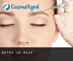 Botox in Muse