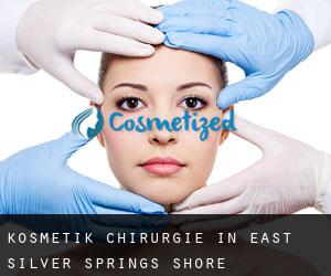 Kosmetik Chirurgie in East Silver Springs Shore