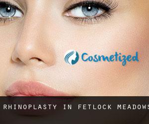 Rhinoplasty in Fetlock Meadows