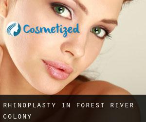 Rhinoplasty in Forest River Colony