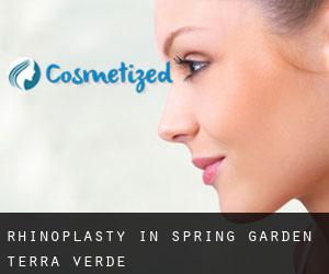 Rhinoplasty in Spring Garden-Terra Verde