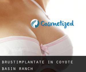 Brustimplantate in Coyote Basin Ranch