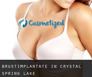 Brustimplantate in Crystal Spring Lake