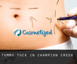 Tummy Tuck in Champion Creek