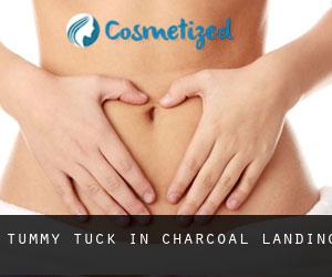 Tummy Tuck in Charcoal Landing