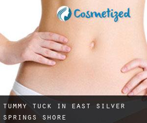 Tummy Tuck in East Silver Springs Shore