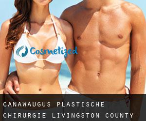 Canawaugus plastische chirurgie (Livingston County, New York)