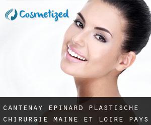 Cantenay-Épinard plastische chirurgie (Maine-et-Loire, Pays de la Loire)