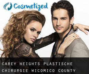 Carey Heights plastische chirurgie (Wicomico County, Maryland)