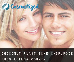 Choconut plastische chirurgie (Susquehanna County, Pennsylvania)