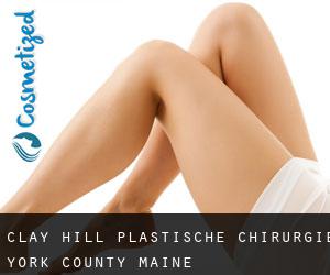 Clay Hill plastische chirurgie (York County, Maine)