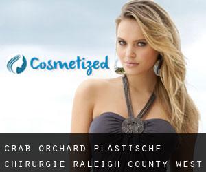 Crab Orchard plastische chirurgie (Raleigh County, West Virginia)