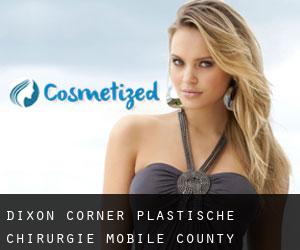 Dixon Corner plastische chirurgie (Mobile County, Alabama)