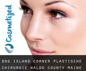 Dog Island Corner plastische chirurgie (Waldo County, Maine)
