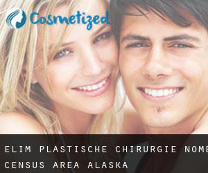 Elim plastische chirurgie (Nome Census Area, Alaska)