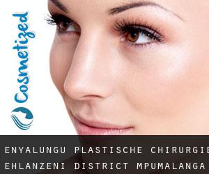 eNyalungu plastische chirurgie (Ehlanzeni District, Mpumalanga)