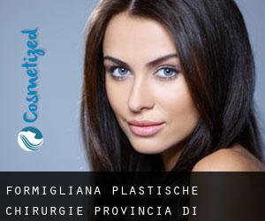 Formigliana plastische chirurgie (Provincia di Vercelli, Piemont)