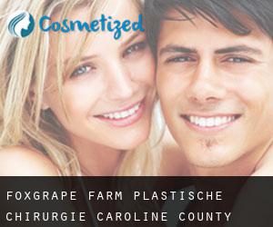 Foxgrape Farm plastische chirurgie (Caroline County, Maryland)